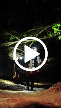 BIB:  <button type="button" onclick="openModal(27556671)" class="btn btn-primary btn-sm float-right" data-toggle="modal" data-target=".modal-high-quality">
                <i class="fa fa-download"></i> Download
                </button>